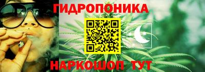 индика Будённовск