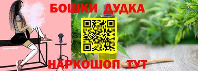 индика Будённовск