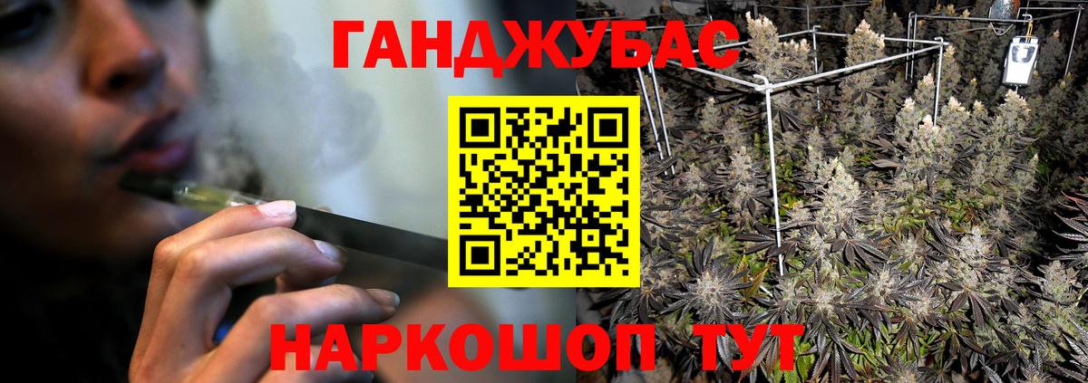 Конопля White Widow  Вход с VPN  Бошки марихуана тримм  Конопля Amnesia  Новодвинск 